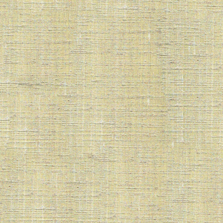  夏奈尔  