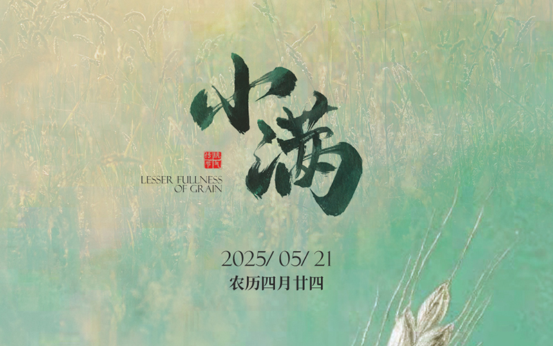 JINASI吉纳思-小满