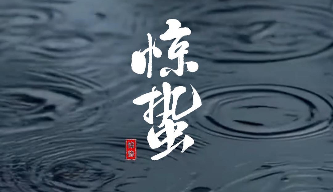 JINASI吉纳思丨3.5惊蛰